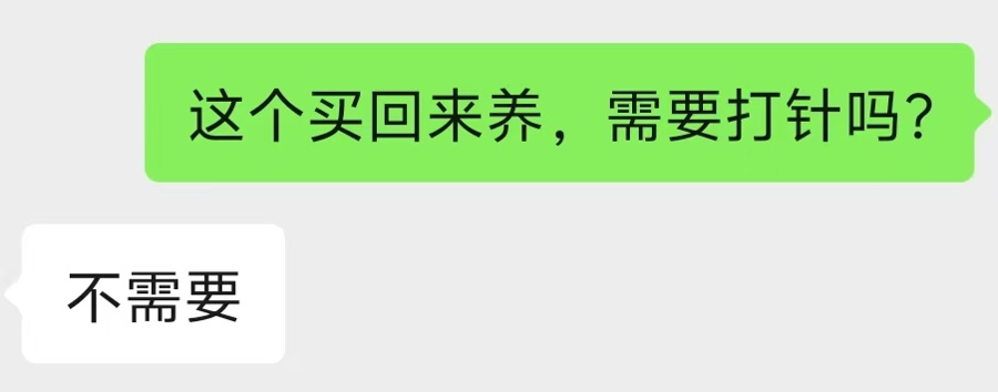 网购土拨鼠火了!无防疫证明,普通快递运输,还敢买吗?今日