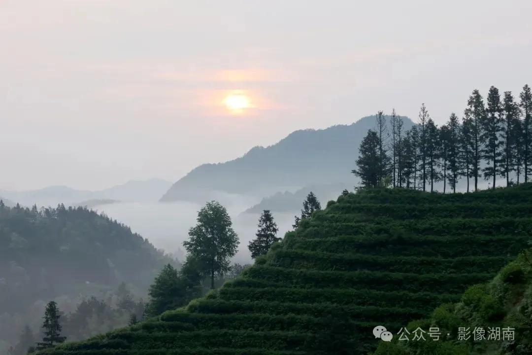 寻找摄影师贺雪华:摄影,记忆最深刻的是什么?