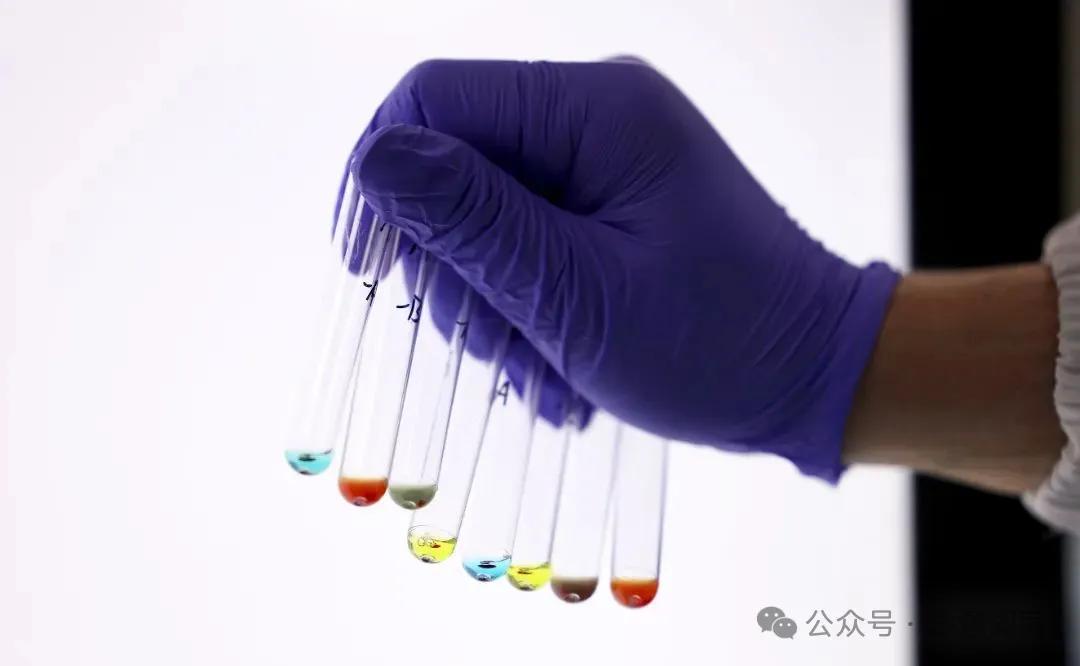 寻找摄影师贺雪华:摄影,记忆最深刻的是什么?