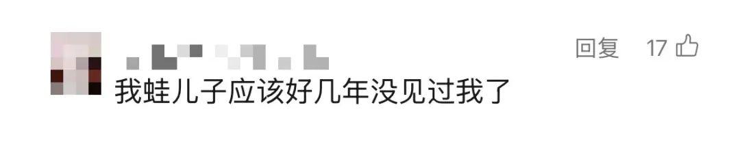 曾经火爆全网,如今部分停服,很多人都玩过这款游戏……今日