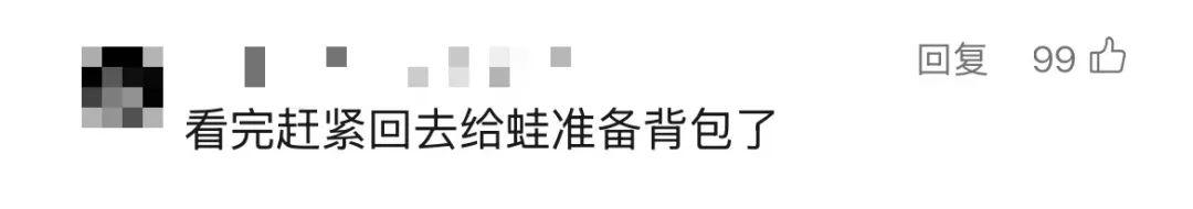 曾经火爆全网,如今部分停服,很多人都玩过这款游戏……今日