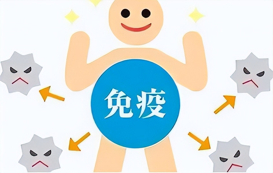 连续2天不吃饭,可以重建整个免疫系统?研究告诉你真相今日