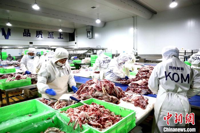 (乡村行·看振兴)内蒙古乡村见闻:念羊经、兴羊业、发羊财