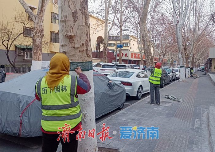 历下区园林绿化服务中心多举措做好春季绿化养护管理工作今日