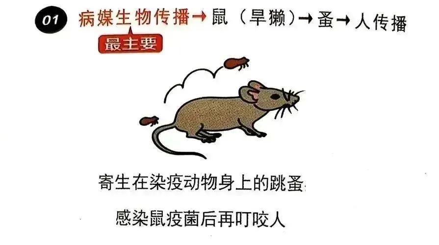 再萌也别碰!国家卫健委紧急提醒