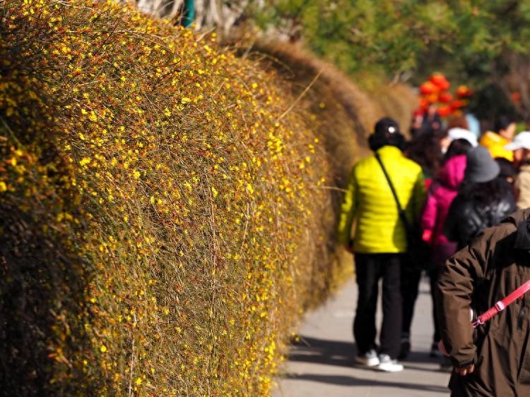坏回暖来了上热搜,此次回暖是否异常?对生产生活有何影响?