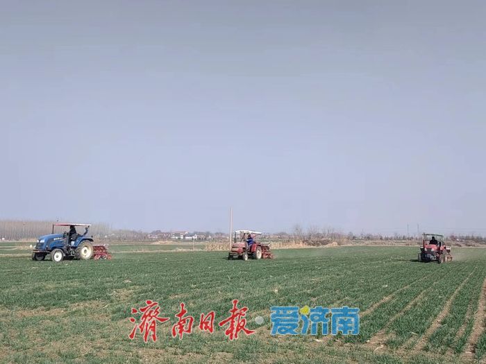 章丘区供销社:抢抓农时强保障,四个到位促丰收