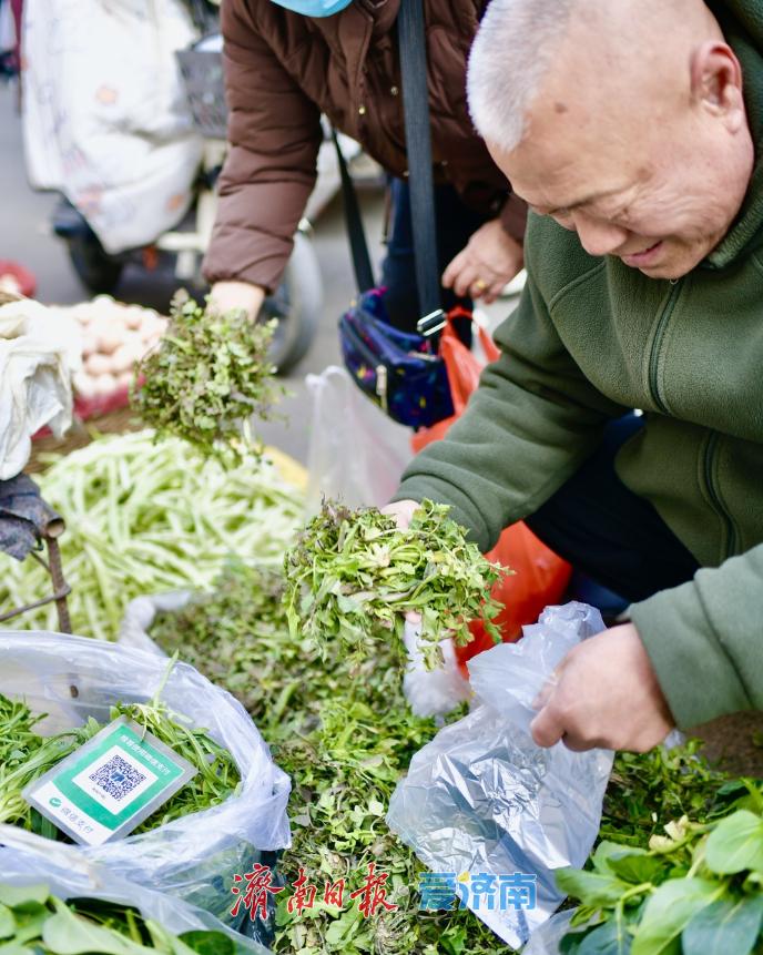 春菜抢鲜上市,菜市场满是春天的味道