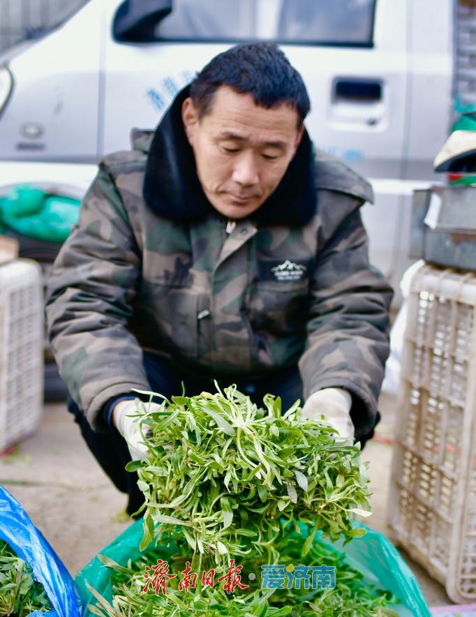 春菜抢鲜上市,菜市场满是春天的味道