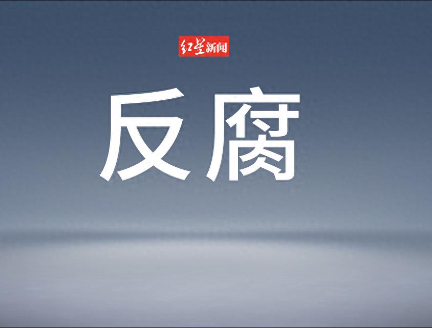 严重违纪违法,重庆两名干部被处理