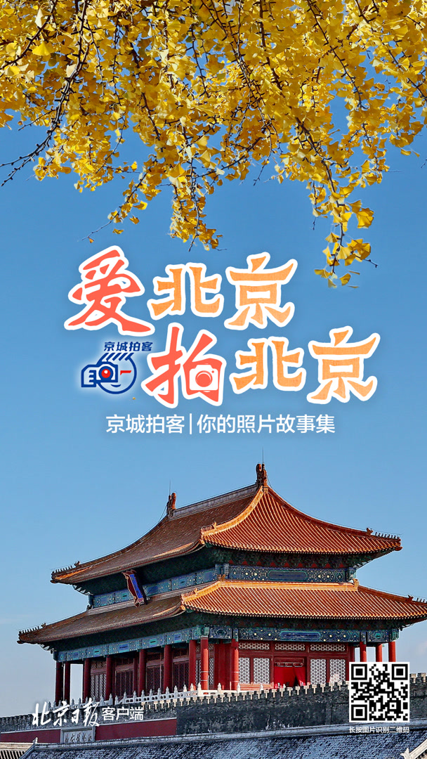 京城拍客今日精选|春到人间草木知