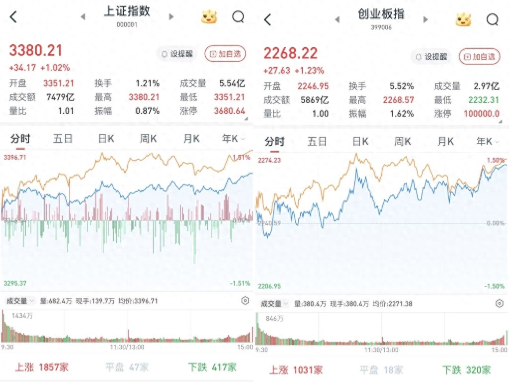 2025年2月 第310页