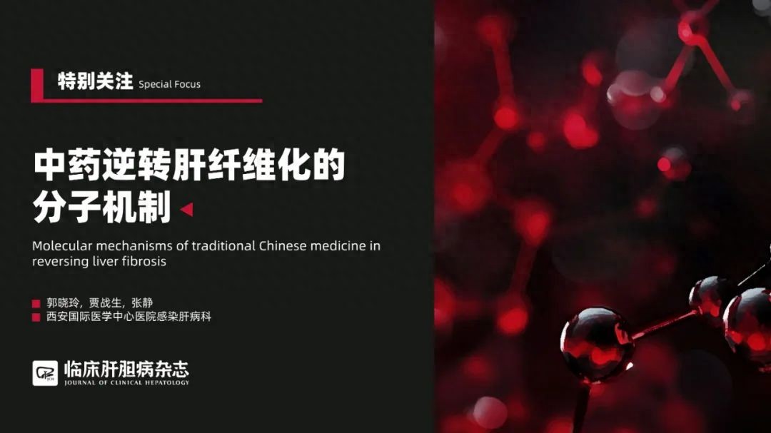 特别关注｜中药逆转肝纤维化的分子机制