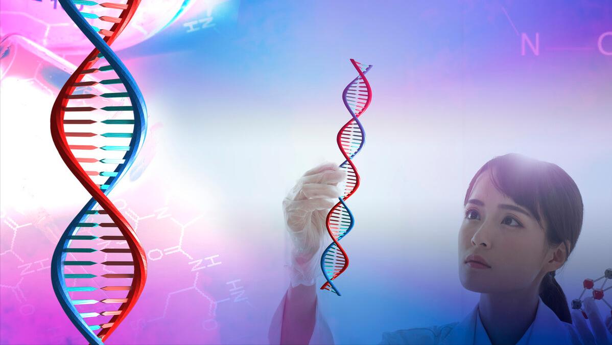 一斗穷,二斗富是真的吗?中科院发现斗和簸箕的基因奥秘今日