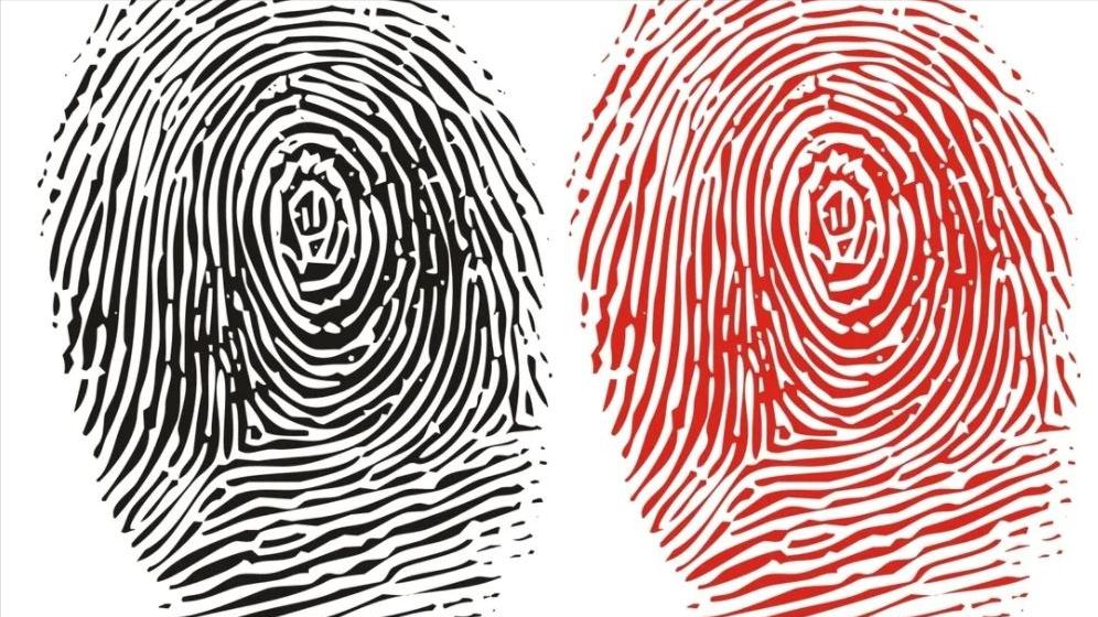 一斗穷,二斗富是真的吗?中科院发现斗和簸箕的基因奥秘今日