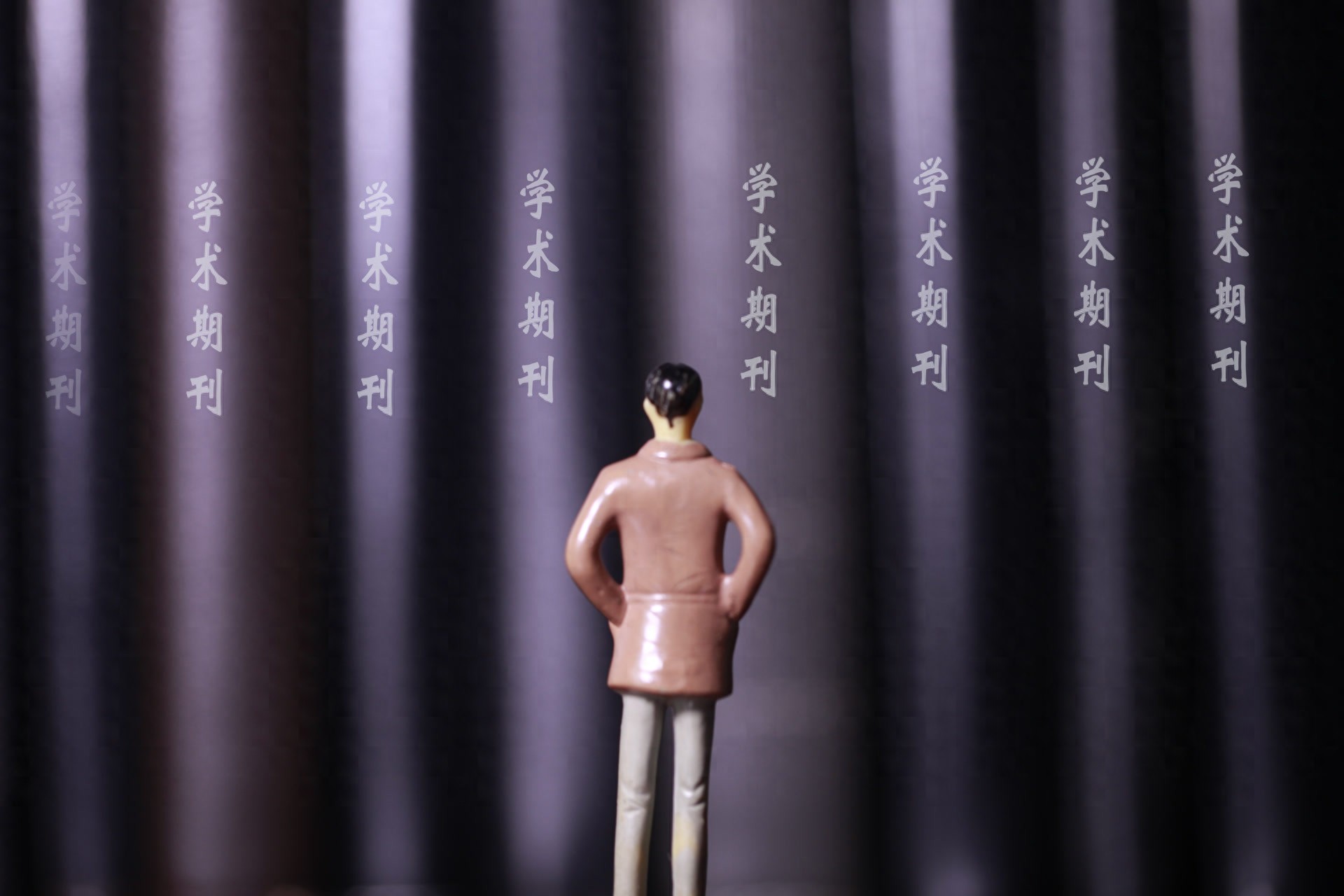 贺雪峰：处理好社会科学大小循环间的关系