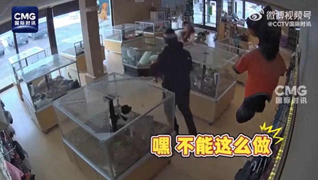 美国一小偷装癫痫偷狗