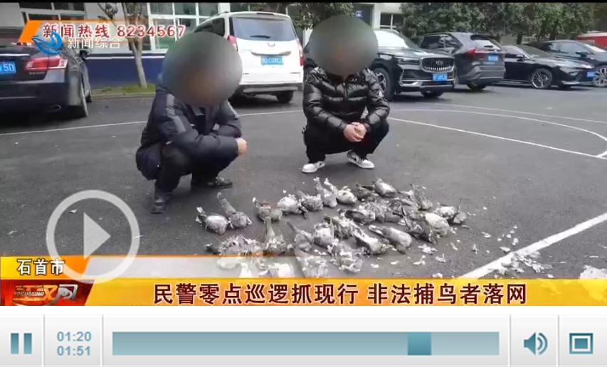 真刑！28只！深夜，他们在石首被抓
