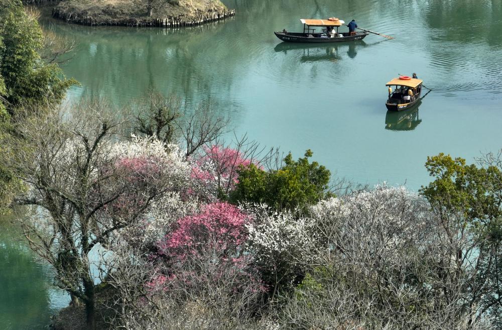 杭州:泛舟梅林