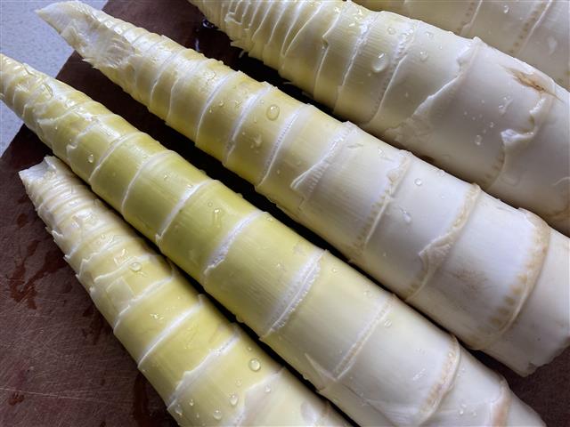 @荆州市民美味春笋变春损?食用禁忌需牢记