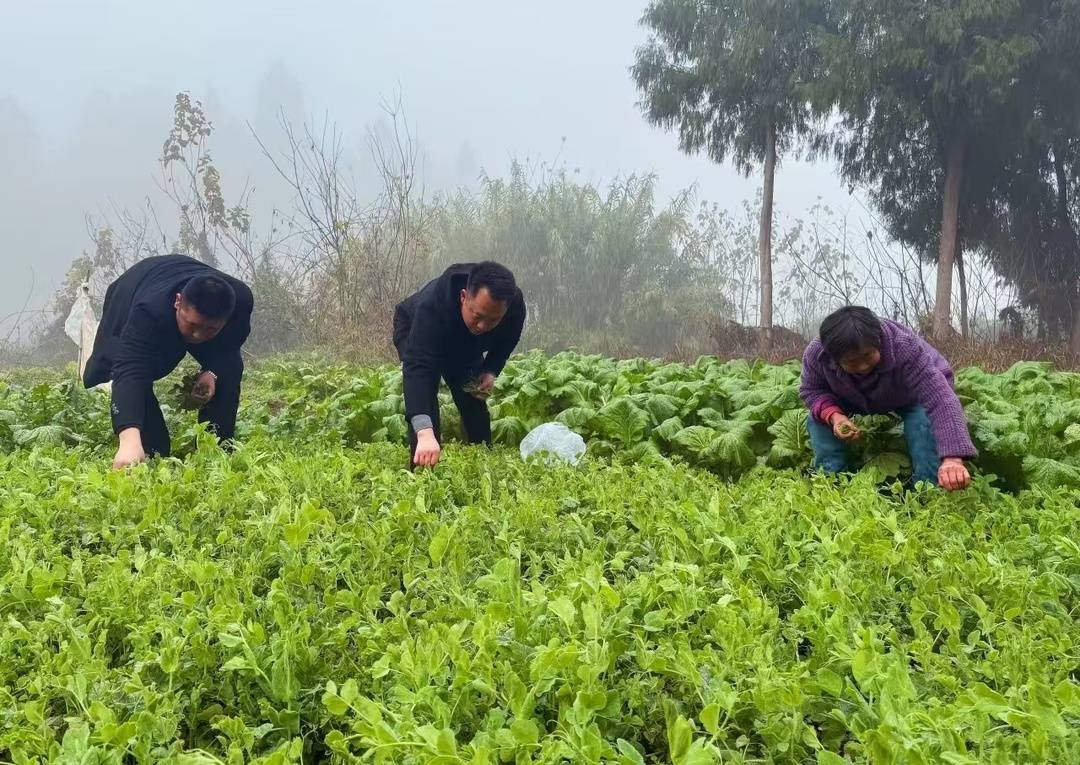 七旬老两口:失去独生子后,我们有了14个兵儿子|看见正能量
