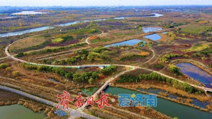 龙湖湿地美景如画