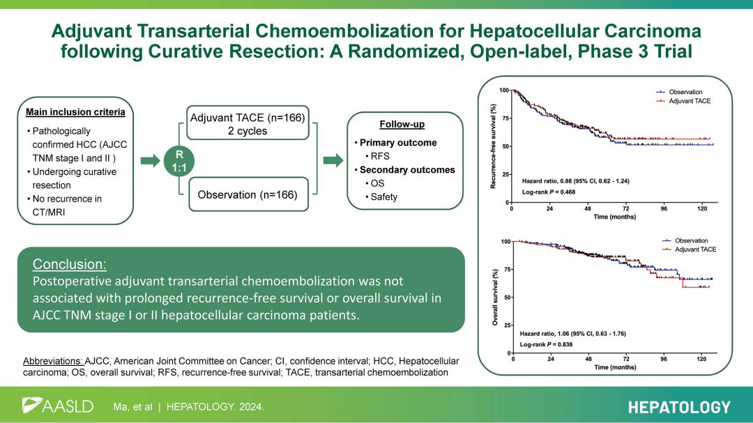 Hepatology丨梁廷波教授:肝癌术后辅助性TACE疗效研究——III期