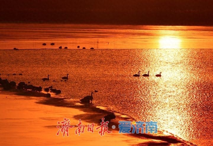 济南夕阳洒金映晚霞