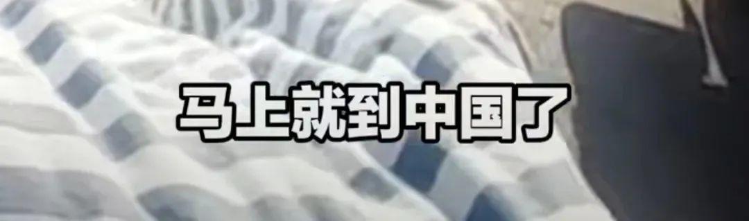 你要撑住!马上就到中国了!