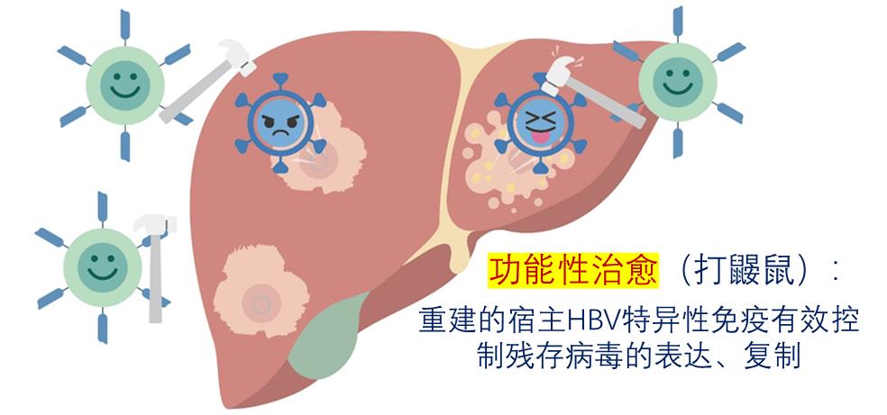 简述慢性乙肝治愈定义的演变及影响