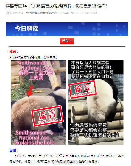 2025年2月 第219页