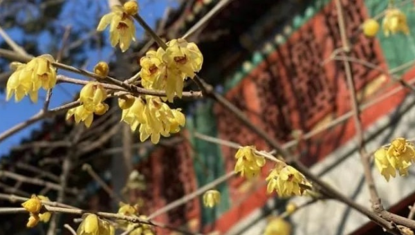 北京号最精彩|换乘更便捷!清河站东侧新添接驳枢纽